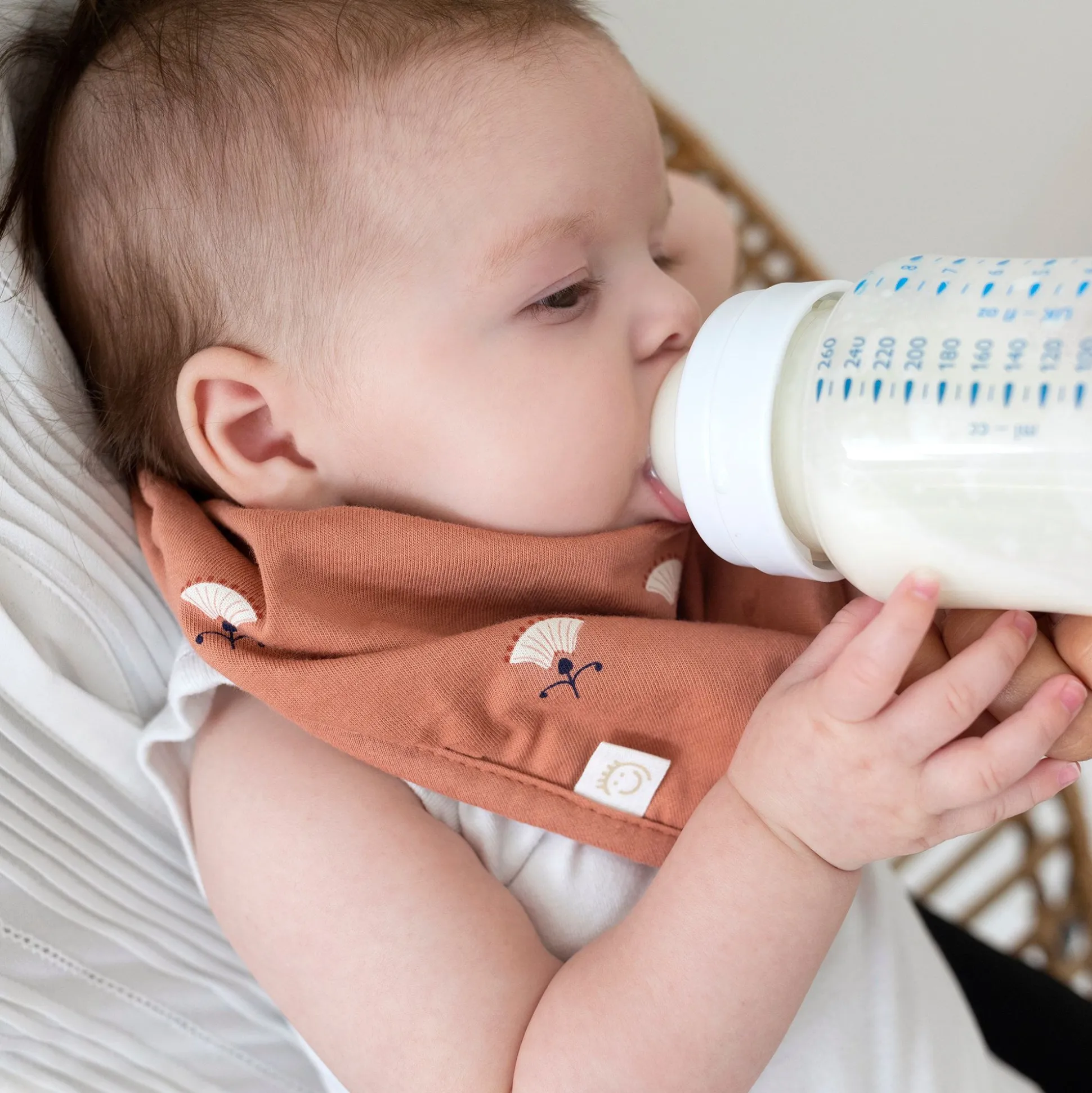 Bandana Waterproof Jersey 25Cm Odete Art Deco Print